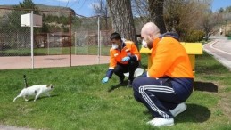 Sivas Belediyesi sokak hayvanlarını unutmadı