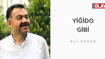 Yiğido Gibi