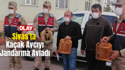 Sivas’ta Kaçak Avcıyı Jandarma Avladı