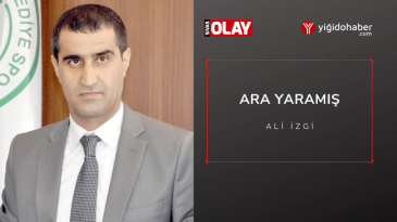 Ara Yaramış