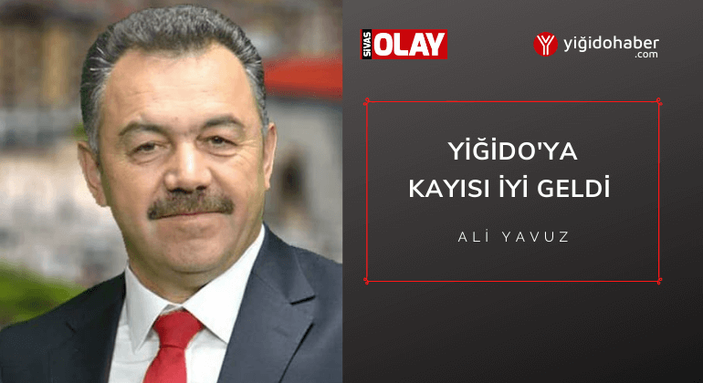 Yiğido’ya kayısı iyi geldi