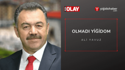 Olmadı Yiğidom