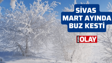 Sivas Mart ayında buz kesti!