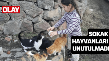 Sokak hayvanları unutulmadı