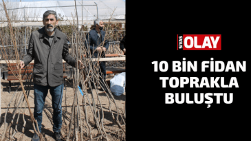 10 bin fidan toprakla buluştu