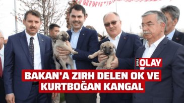 Bakan’a zırh delen ok ve kurtboğan kangal!