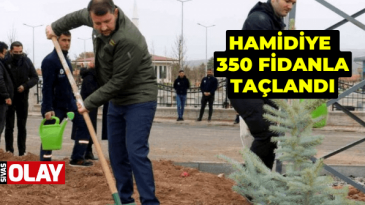 Hamidiye 350 fidanla taçlandı