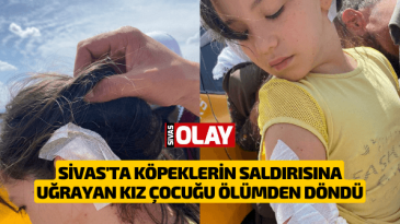 Sivas’ta köpeklerin saldırısına uğrayan kız çocuğu ölümden döndü