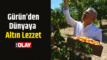 Gürün’den Dünyaya Altın Lezzet