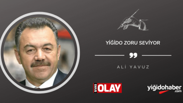 Yiğido zoru seviyor