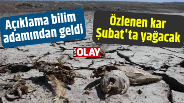 “Özlenen kar Şubat’ta yağacak”