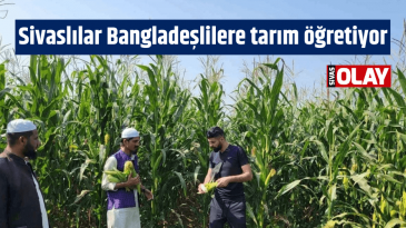 Sivaslılar Bangladeşlilere tarım öğretiyor