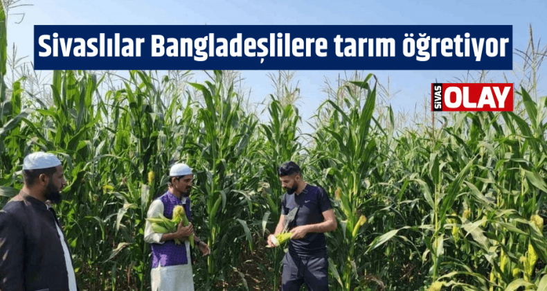 Sivaslılar Bangladeşlilere tarım öğretiyor