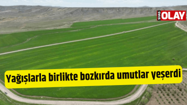 Yağışlarla birlikte bozkırda umutlar yeşerdi