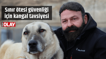 Sınır ötesi güvenliği için kangal tavsiyesi