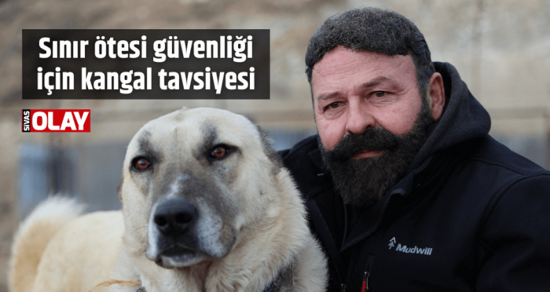 Sınır ötesi güvenliği için kangal tavsiyesi