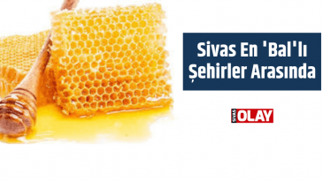 Sivas En ‘Bal’lı Şehirler Arasında