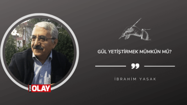 Gül Yetiştirmek Mümkün mü?