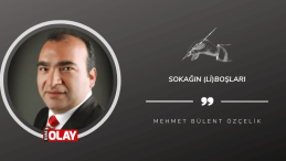 Sokağın (Li)Boşları