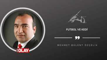 Futbol ve kedi