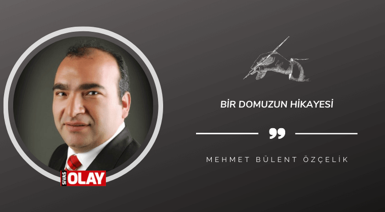 Bir domuzun hikayesi