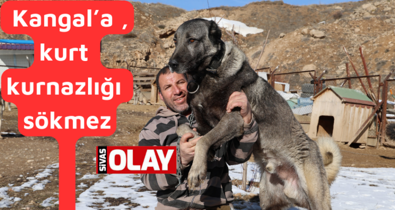 “Kangal,hileyi affetmez “