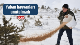 Soğuklarda yaban hayvanları unutulmadı