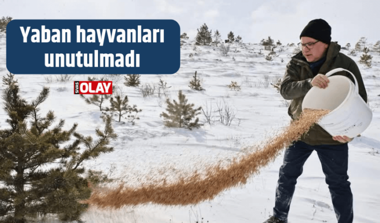 Soğuklarda yaban hayvanları unutulmadı