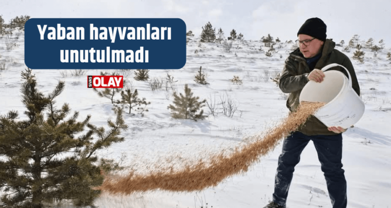 Soğuklarda yaban hayvanları unutulmadı