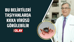 Bu belirtileri taşıyanlarda KKKA virüsü görülebilir