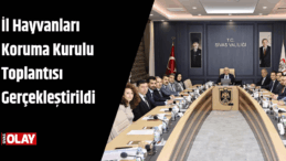 İl Hayvanları Koruma Kurulu Toplantısı Gerçekleştirildi