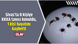 Sivas’ta 8 kişiye KKKA tanısı konuldu, 1 kişi hayatını kaybetti
