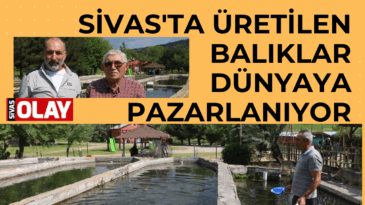 40 milyon yumurta ihracaat ediliyor.