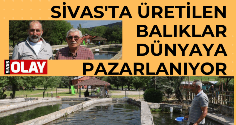 40 milyon yumurta ihracaat ediliyor.