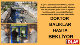 Dünyaca ünlü ‘doktor balıklar’ 5 aydır şifa dağıtamıyor