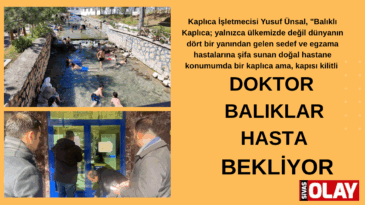 Dünyaca ünlü ‘doktor balıklar’ 5 aydır şifa dağıtamıyor