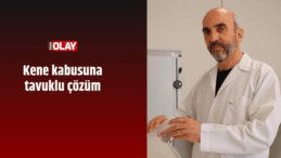 Kene kabusuna tavuklu çözüm