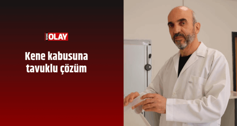 Kene kabusuna tavuklu çözüm