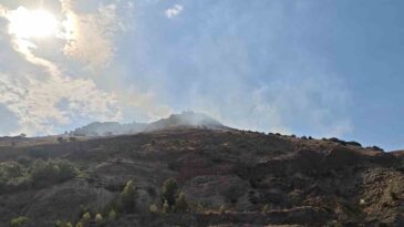 Sivas’ta çıkan orman yangını kısa sürede kontrol altına alındı