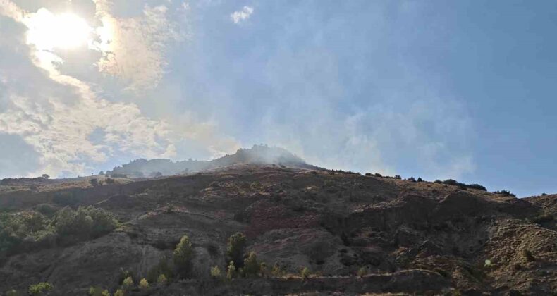 Sivas’ta çıkan orman yangını kısa sürede kontrol altına alındı