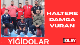 Haltere Sivas damgası