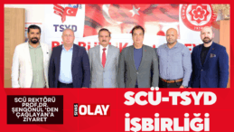 Projeler ele alındı