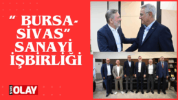 Yatırım ve işbirliği