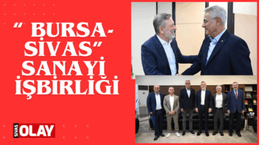 Yatırım ve işbirliği