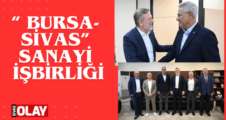 Yatırım ve işbirliği