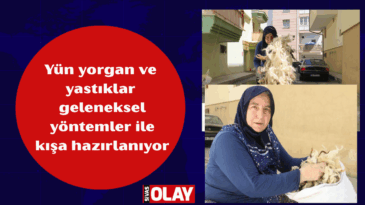 Çırpıp,kurutuyorlar