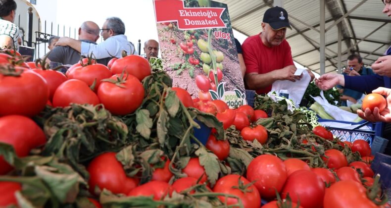 Doğal ürünler ve köy pazarı hizmete açıldı