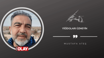 Yiğidoları üzmeyin