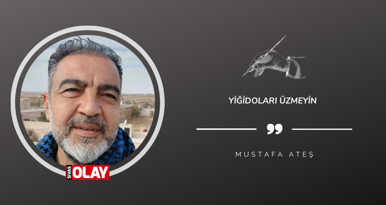 Yiğidoları üzmeyin