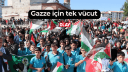 Gazze için tek vücut